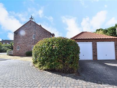 Picture 29
